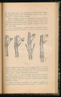 Molnár István, rudinai: Szőlőművelési káté. Kisebb szőlőbirtokosok, gyakorlati szőlőművesek és vince...