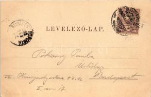 1900 Sopron, Árvíz 1900. április 8-án. Neuhof (Erzsébet kert) mögött. Kummert L. kiadása (EK)