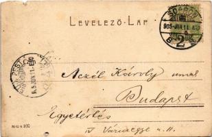 1905 Sopron, Lakner Kristóf utca (b)