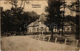 1929 Tatabánya, gyógyszertár. Újtelepi dohánytőzsde kiadása (fa)