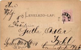 1899 Szabadka, Subotica; M. kir. tanítónőképző intézet. Wilheim Samu kiadása / teachers' traini...