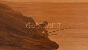 2 darab intarziakép, 16x23 cm