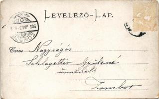 1900 Szabadka, Subotica; M. kir. posta. Vig Zsigmond kiadása / post office (szakadás / tear)