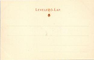 Szabadka, Subotica; Eötvös utca. Vig Zsigmond Sándor kiadása / street view