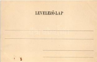 Szabadka, Subotica; látkép madártávlatból. Vig Zsigmond Sándor kiadása / general view (EK)