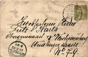 1902 Szabadka, Subotica; Lichtneckert palota. Wilheim Samu kiadása / palace (szakadások / tears)