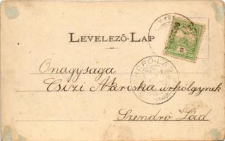 1902 Stószfürdő, Stoósz-fürdő, Kúpele Stós; Budapest villa. Wlaszlovits Gusztáv kiadása / spa, villa...