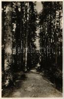 Iglófüred, Spisská Nová Ves Kupele, Novovesské Kúpele; erdő / forest