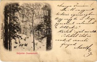 1900 Stájerlak, Steierlak, Stájerlakanina, Steierdorf, Anina; Szarvaskert télen. Hollschütz kiadása / deer park in winter (EB)