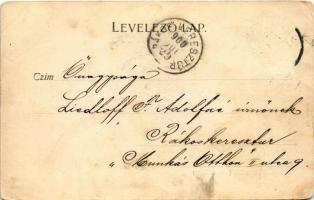 1900 Stájerlak, Steierlak, Stájerlakanina, Steierdorf, Anina; Szarvaskert télen. Hollschütz kiadása ...