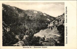Stájerlak, Steierlak, Stájerlakanina, Steierdorf, Anina; Bozovicsi út. Hollschütz F. kiadása / Bozovicser Strasse / road to Bozovici