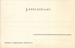 Stájerlak, Steierlak, Stájerlakanina, Steierdorf, Anina; Bozovicsi út. Hollschütz F. kiadása / Bozov...