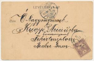 1901 Stájerlak, Steierlak, Stájerlakanina, Steierdorf, Anina; Római katolikus templom, Fő utca, Közs...