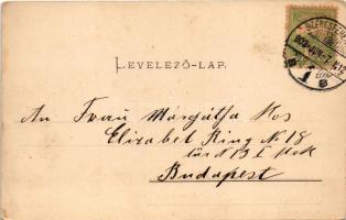 1903 Székesfehérvár, Igazságügyi palota. Eisler Adolf kiadása (fl)