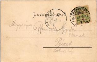 1904 Székesfehérvár, Szent György kórház. Eisler Adolf kiadása