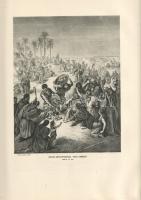 Újszövetségi Szentírás a Vulgata szerint. Káldi György fordítása nyomán, tekintettel az eredeti szöv...