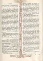 Újszövetségi Szentírás a Vulgata szerint. Káldi György fordítása nyomán, tekintettel az eredeti szöv...