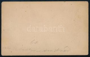 cca 1868 A tizenhárom aradi vértanú (Barabás Miklós litográfiája után), keményhátú fotó, jelzés nélk...