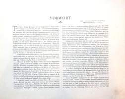 Stoddard, John L[awson] (szerk.): 
Im Fluge durch die Welt. Sammung photograpischer Ansichten der h...