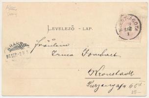 1899 Szentágota, Agnetheln, Agnita; Hotel Agnetha, Agnetheln v. d. Steinburg, Sägewerk, Mittelgasse ...