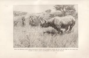 Roosevelt, Theodore: Afrikanische Wanderungen eines Naturforschers und Jägers. Mit Illustrationen au...