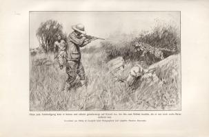 Roosevelt, Theodore: Afrikanische Wanderungen eines Naturforschers und Jägers. Mit Illustrationen au...