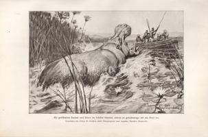 Roosevelt, Theodore: Afrikanische Wanderungen eines Naturforschers und Jägers. Mit Illustrationen au...