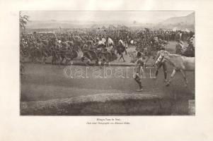 Roosevelt, Theodore: Afrikanische Wanderungen eines Naturforschers und Jägers. Mit Illustrationen au...