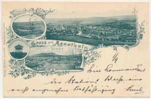 1899 Szentágota, Agnetheln, Agnita; Lederfabrik, Aussichtswarte auf Steinburgshöh, Marktplatz / Bőrgyár, Piactér, kilátótorony. M. Lang kiadása / leather factory, market square, lookout tower. Art Nouveau, floral