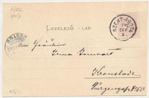 1899 Szentágota, Agnetheln, Agnita; Lederfabrik, Aussichtswarte auf Steinburgshöh, Marktplatz / Bőrg...