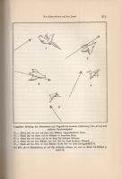 Elven, Hans (szerk.): Wir Jäger. Bearbeitet von Hans Elven.
Düsseldorf, [1936]. Est-Est Verlag (Hes...