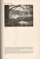 Elven, Hans (szerk.): Wir Jäger. Bearbeitet von Hans Elven.
Düsseldorf, [1936]. Est-Est Verlag (Hes...