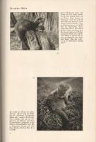 Elven, Hans (szerk.): Wir Jäger. Bearbeitet von Hans Elven.
Düsseldorf, [1936]. Est-Est Verlag (Hes...