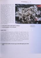 Michael Hoffmann: Lavinaveszély. Hódeszkák:Veszélyfelismerés-döntéshozatal, 100 gyakorlati ötlettel....