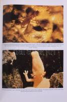 Jakucs László: Szerelmetes Barlangjaim. Bp., 1993, Akadémiai Kiadó. Első kiadás. Kiadói kartonált pa...