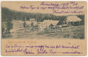1915 Ferencfalva, Franzdorf, Valiug (Resicabánya, Resita); Prislop. Ifj. Neff Károly kiadása / látkép / view (fl)