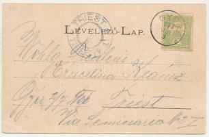 1900 Gyér, Giera; vasútállomás, gőzmozdony, vonat, Gyertyánfy Andor (Gyertyánffy) kastély, Fő utca /...