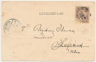 1901 Zsibó, Jibou; Református templom, Báró Wesselényi kastély, Állami iskola, Wertheimer Dezső, Rot...