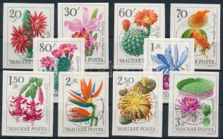 1965 Virág (VI.) - Botanikus kertek vágott sor (5.500)