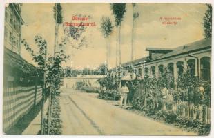 Szamosújvár, Gherla; A fegyintézet sétakertje, börtön. W.L. 1875. / prison garden (EB)