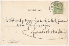 1908 Szentágota, Agnetheln, Agnita; Fronius-Denkmal im Schulgarten, Ev. Hauptvolksschule u. Kirche, ...