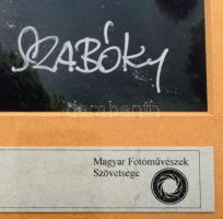 Szabóky Zsolt: Dévény. Jelzett művészfotó, üvegezett keretben. 30x40 cm