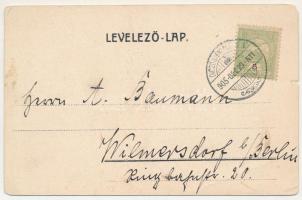 1905 Szőkefalva, Dunkeldorf, Seuca; Rhédei-Rothenthal kastély / castle (EM)