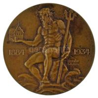 1934. "A Neptun Budapesti Evezős Egylet - 50 év emlékére" kétoldalas bronz sport emlékérem, peremén "BERÁN N. BPEST" gyártói jelzéssel. Szign.: Berán Lajos (60mm) T:AU,XF kis patina HPII 248.