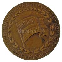 1934. "A Neptun Budapesti Evezős Egylet - 50 év emlékére" kétoldalas bronz sport emlékérem...