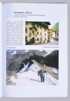 Nagyváthy János: 50 hegymászótúra az Alpokban - A Hohe Wandtól a Mont Blanc-ig. Bp., 2002, Timp Kft....