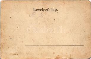 Hátszeg, Hateg; Stefan Sielariu, Groszeck Károly üzlete, templomok. Kendoff A. és fia kiadása / stre...