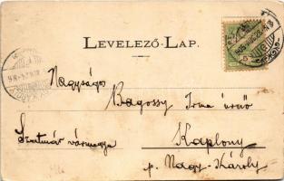 1905 Beregszász, Beregovo, Berehove; Kata-lak, kastély / castle villa (EB)