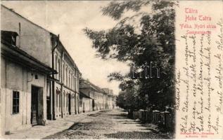 Felka, Velka (Tátra, Tatry); Nyári utca. Stengel &amp; Co, (Dresden) 8955. / street (non PC) (Rb)