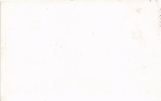 Felka, Velka (Tátra, Tatry); Nyári utca. Stengel &amp; Co, (Dresden) 8955. / street (non PC) (Rb...